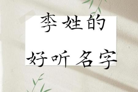 李姓男婴命名解析：为孩子取个好名字的重要性与技巧