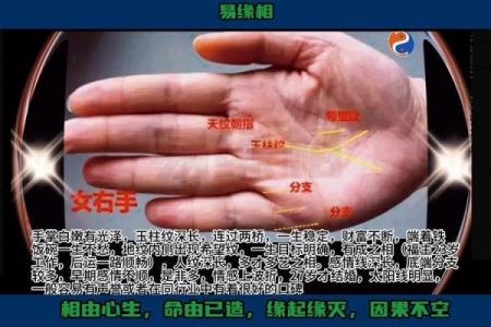 揭秘手相中龙虎命：你的命运如何与手相息息相关