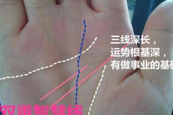 命格无子女的原因与解析 为何有些人注定无子女