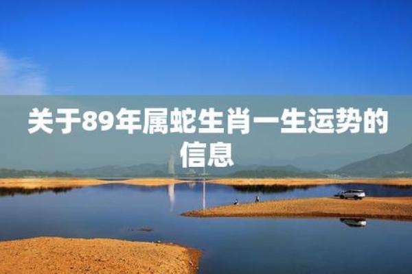 67岁属什么生肖？揭秘生肖与命运的奥秘