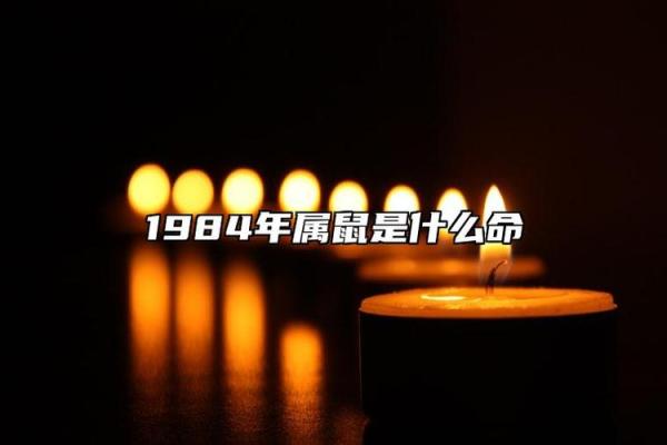 海中金命人：命中注定的贵人引路人生新章节