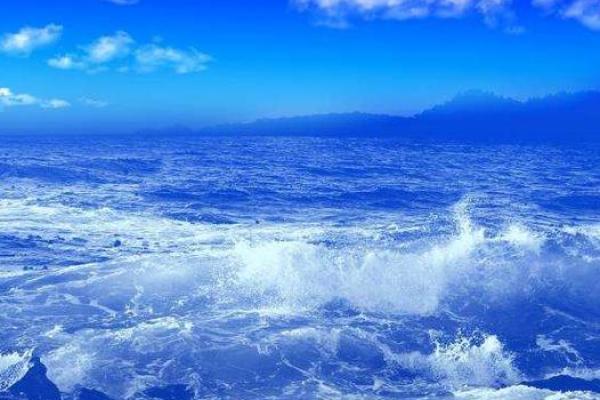 大海水命的旺木之道：探索生命的无限可能