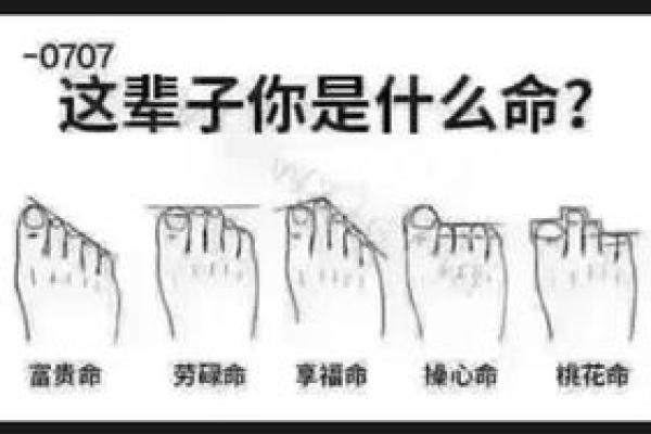 探索每月出生人的命与性格：你是哪一种？