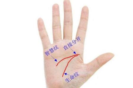 揭秘女生断掌命理：她们的命运与未来或许早已注定！