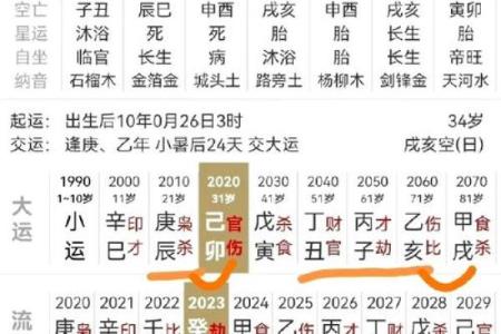 探寻命理：从出生时辰看土命之人如何引领人生轨迹