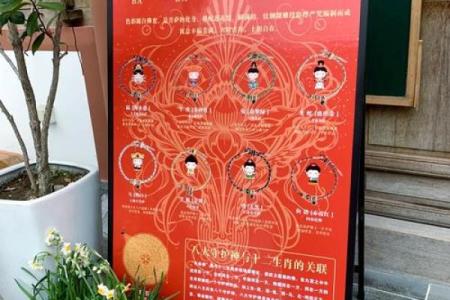 探寻生肖金龙命的奥秘：智慧与力量的结合