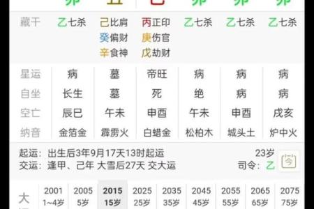 解密命理：根据生辰八字，找到你的职业天赋与最佳定位