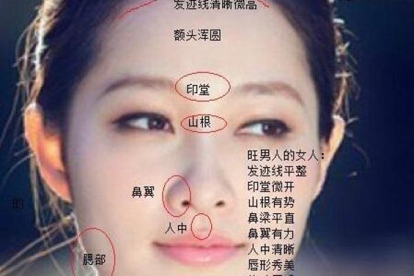连南属什么是富贵命：探寻命理中的财富之道