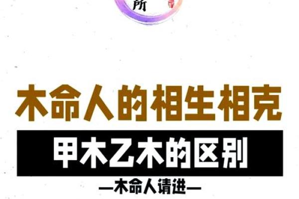 探索06命的五行特征与人生指导