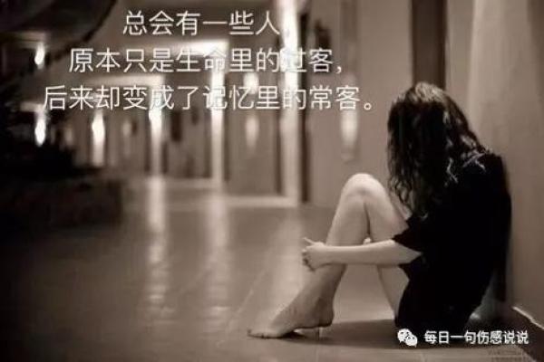 解析“争夫命”：人生抉择的隐秘哲学与内心挣扎