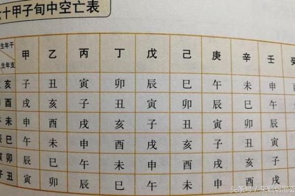 命主巨门身主天梁的命格解析与人生启示