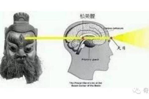 命理学之美：探秘命偏旁与结构的奥秘