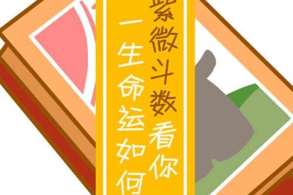 探究命运之中：命硬女人如何突破生活逆境