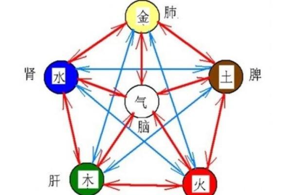 水命的人：根据出生月份解读你的命理之旅
