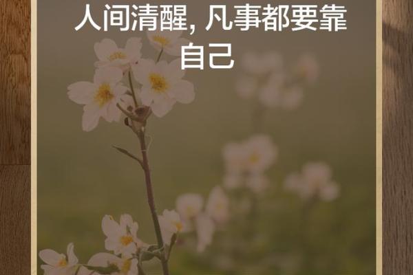 靠自己的人生路：掌握命运的秘密与智慧