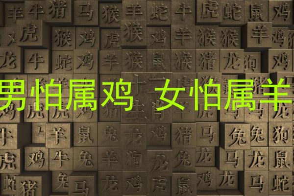 05年属鸡命运与适合的生肖搭配解析