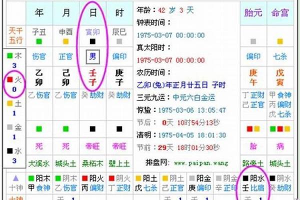 揭秘癸亥大海水命：深入探索命理中的水元素及其影响