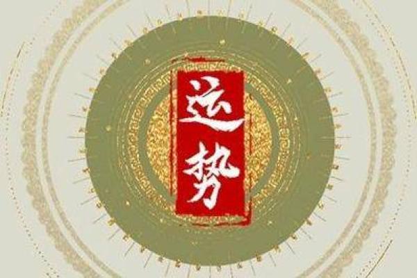 属蛇人的命理分析与喜好详解