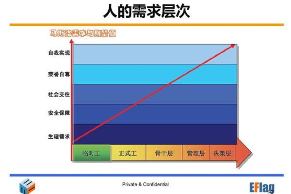 水命男的职业发展：适合的职业与成功之道