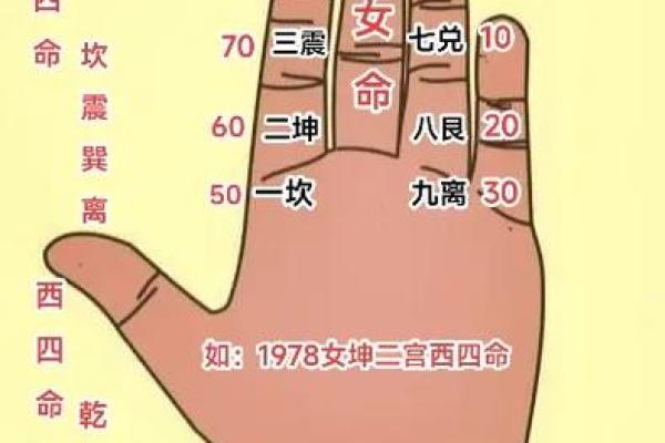 探寻命理之路:揭开东四命与西四命的神秘面纱 探寻命理之路:揭开东四命与西四命的神秘面纱