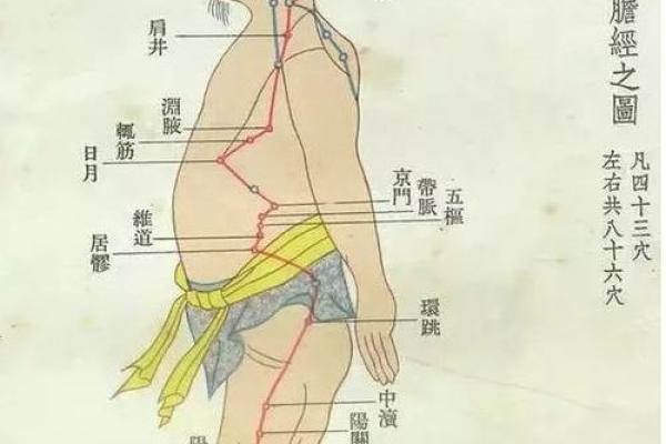 男生屁股小：身体特征与性格特点的神秘联系