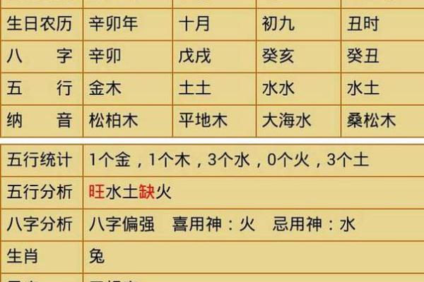 南方发展最佳命理选择：适合追梦者的五大命格解析！
