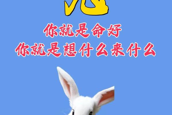 七五年属相解析：揭秘1975年出生的命运与人生