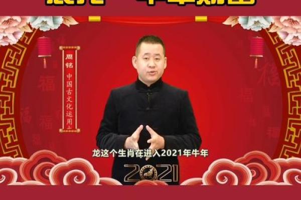 牛年宝宝命理解析：当幸福与机遇同行的时刻