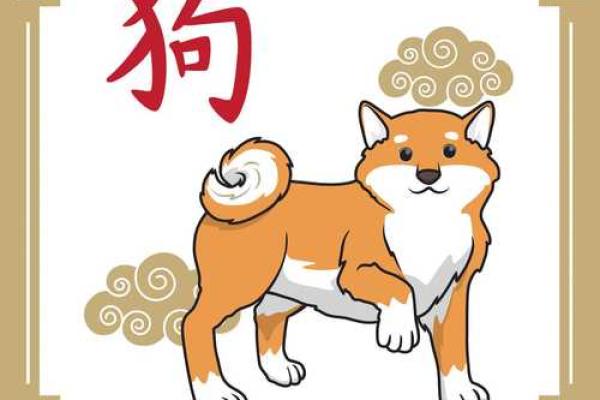 属虎人生：揭秘虎年出生者的命运与星座魅力