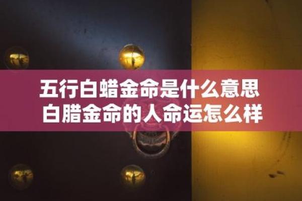 1993属什么？揭开白蜡金命的神秘面纱！