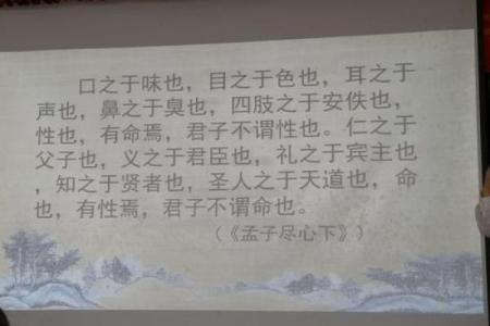 探索“命”的奥秘：命字的多重称呼与意义深化