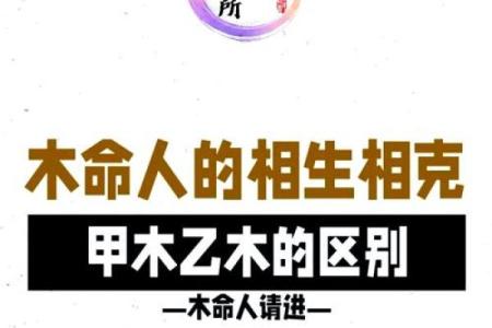 探索06命的五行特征与人生指导