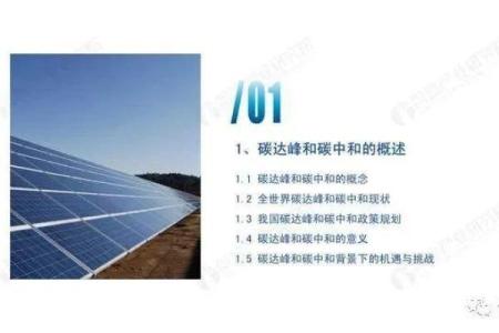 探索命延的奥秘：理解生命中的时间与机遇