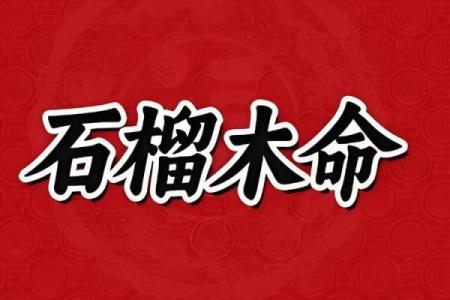 探索石榴木命的职业道路：适合的行业与发展潜力