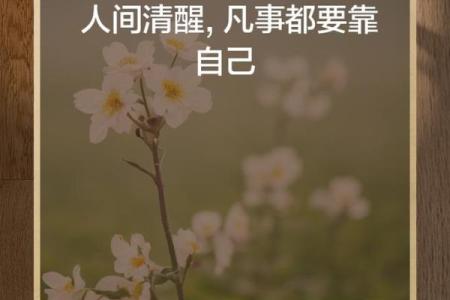 靠自己的人生路：掌握命运的秘密与智慧
