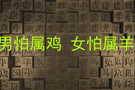05年属鸡命运与适合的生肖搭配解析