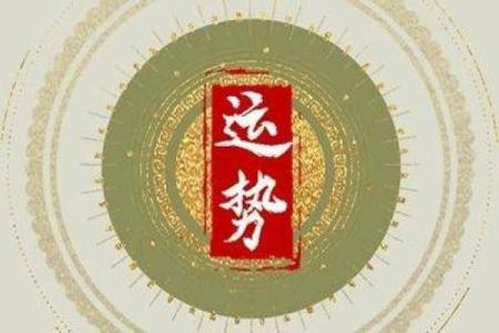 属蛇人的命理分析与喜好详解