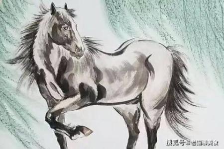 属狗五十岁命理解析：人生巅峰与未来方向的指引