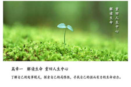 鼠年腊月生人的命运解析：在寒风中绽放人生的光彩
