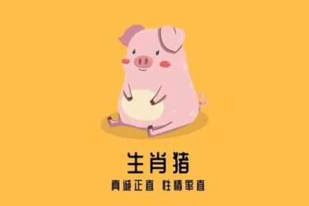 属猪人在不同岁数的运势解读与命理分析
