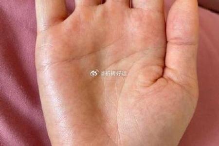 手相解析：揭示女性一生运势与命运的奥秘