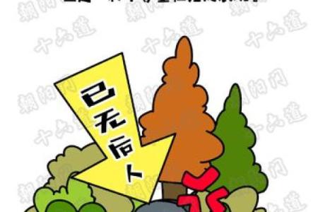 什么命格的人不能扫墓？揭秘背后的禁忌与传说！