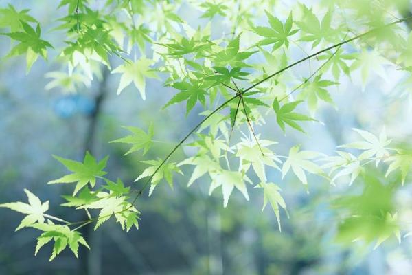 天河水命的色彩禁忌：携好运而行的智慧之选