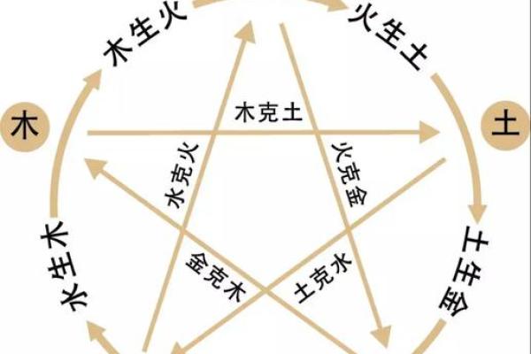 丑牛寅虎：揭秘四个命格的性格与命运轨迹