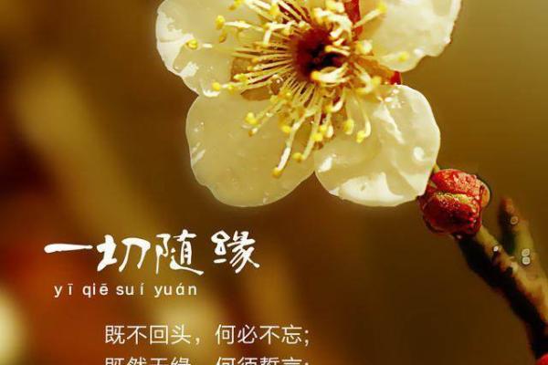 命什么不什么，寻常日月中的珍贵哲理