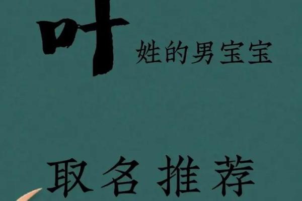 红豆的宝宝是什么命：探索生辰与命运的奥秘