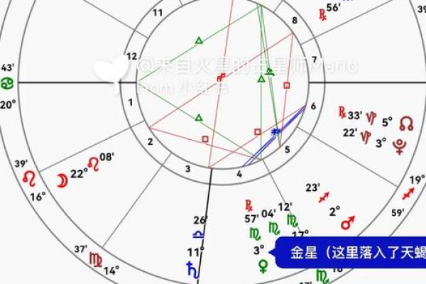 探秘姓名与命格:解读“十九画”的独特人生轨迹 探秘姓名与命格:解读“十九画”的独特人生轨迹