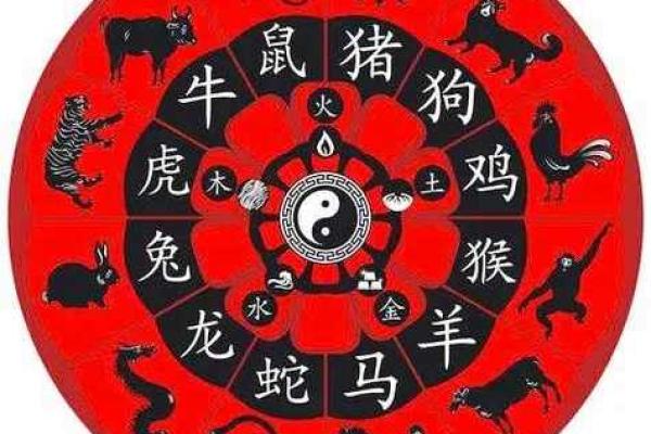 龙狗牛羊：命理中的象征与关联，揭开生肖的神秘面纱
