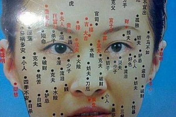 1995属猪的女人：命运与性格的深度剖析