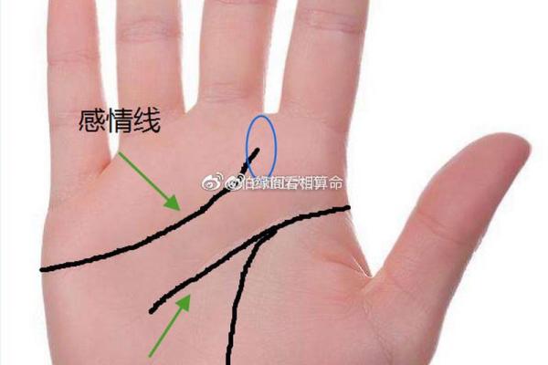 脚趾中指最长的秘密：解读这个特征背后的命理与性格